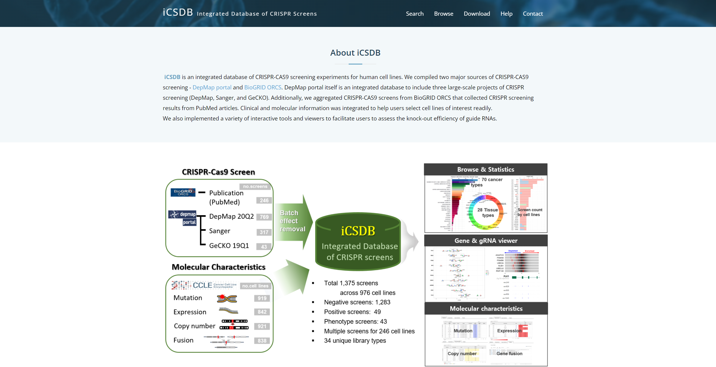 iCSDB